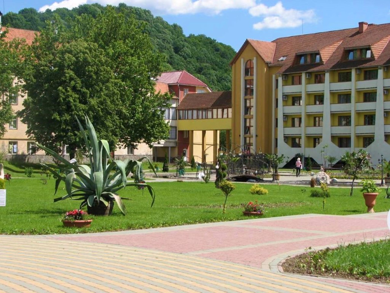 Солочин, Закарпаття