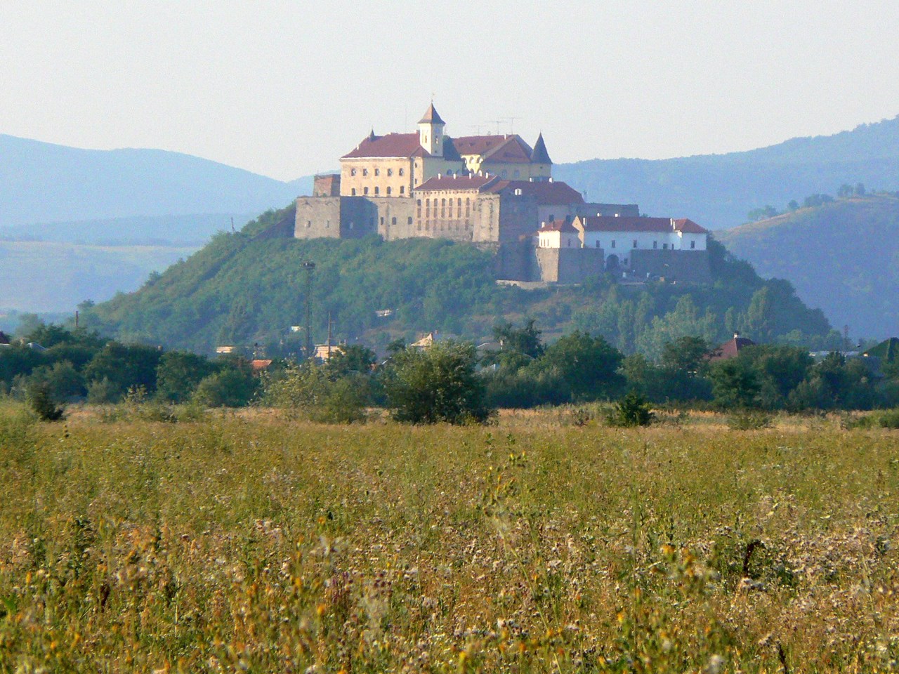 Mukachevo district