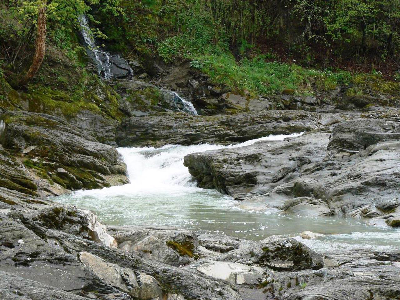 Село Шешори