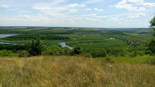 Horlivka district