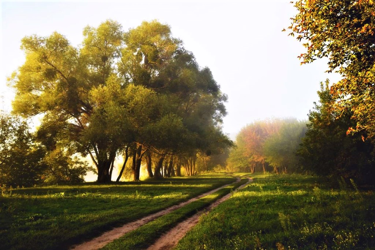 Korobiv Khutir village