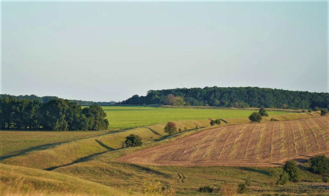 Село Більськ