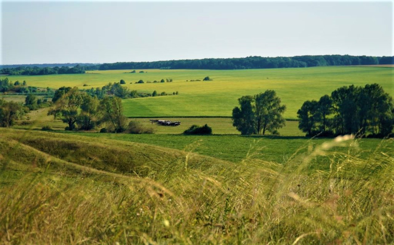 Село Більськ