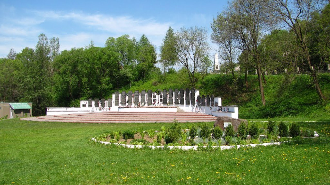 Город Свалява