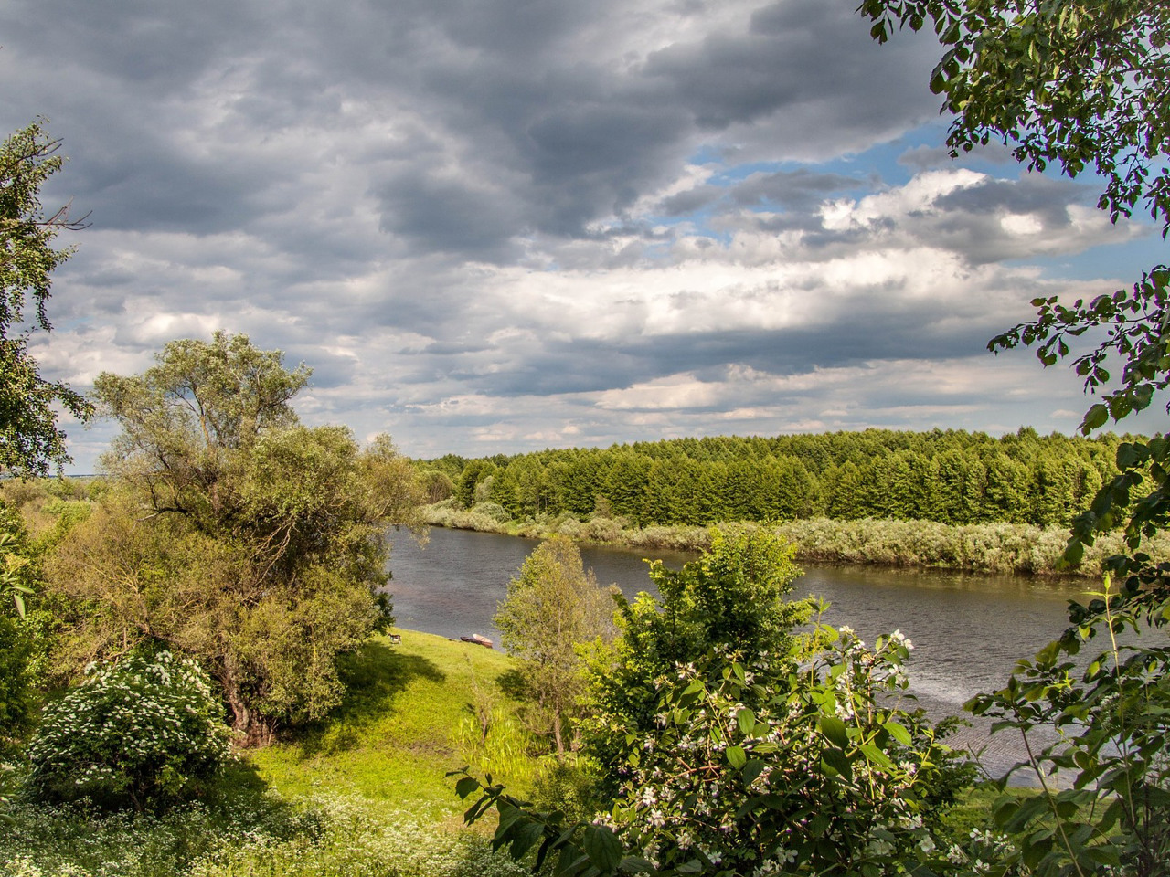 Rivne region