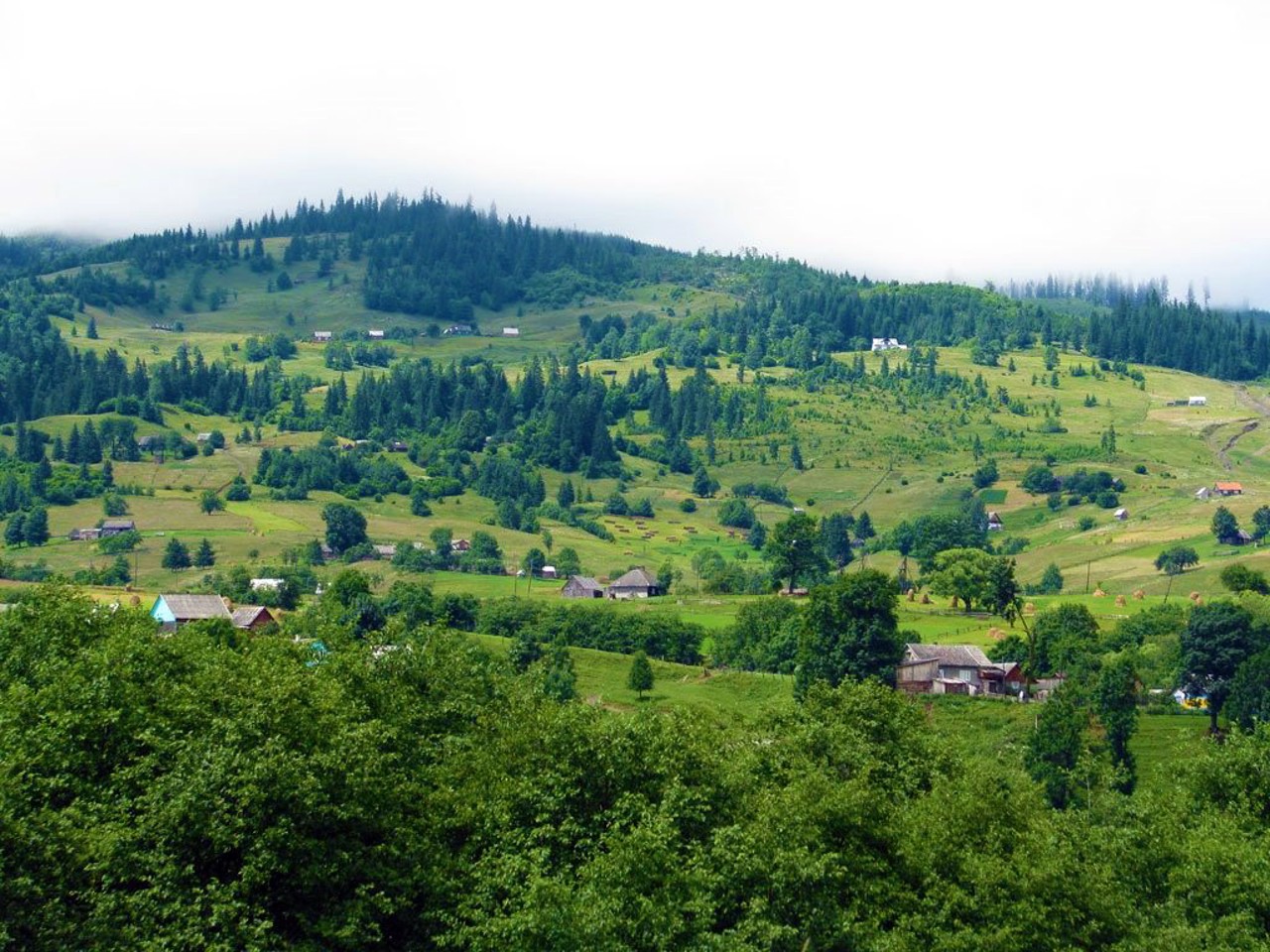 Село Ділове