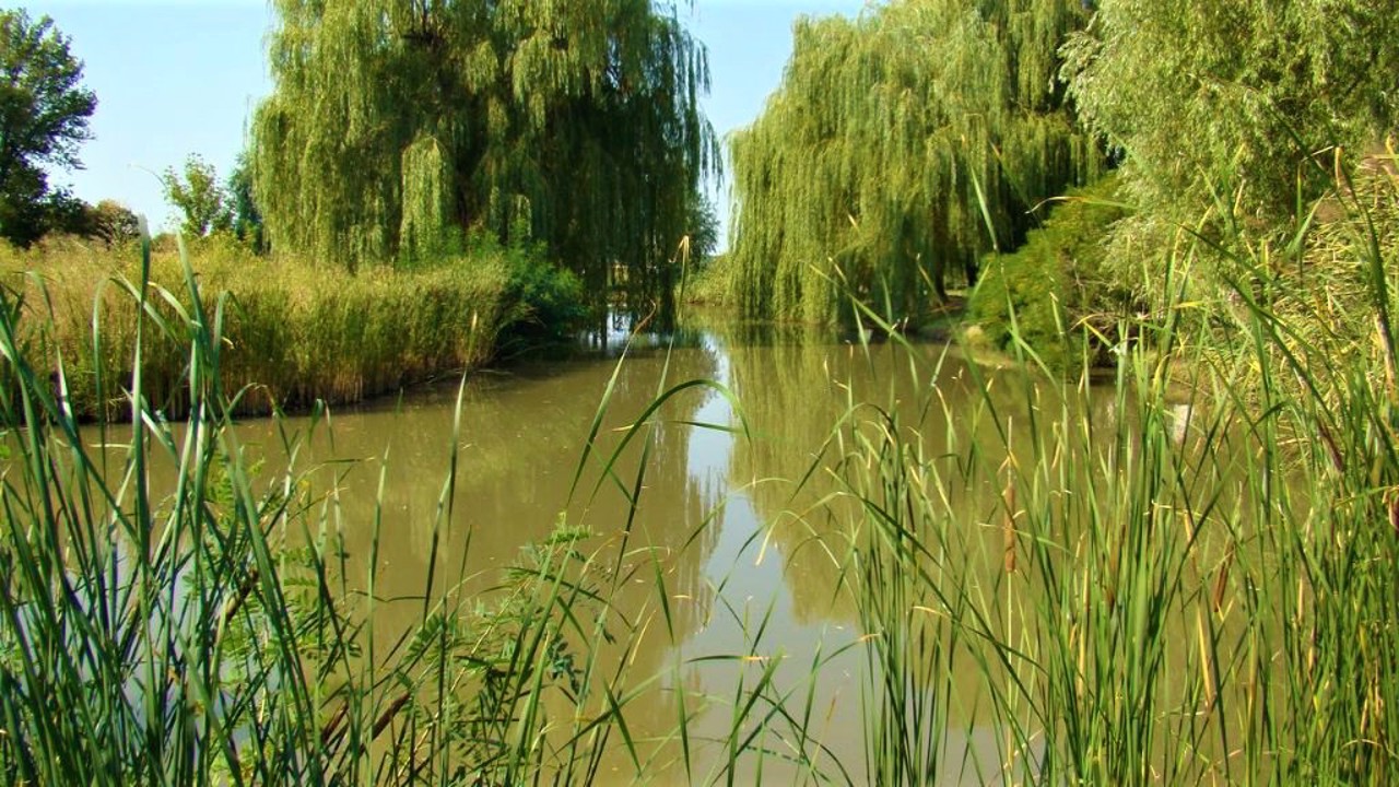 Село Новотроицкое, Самаровский район