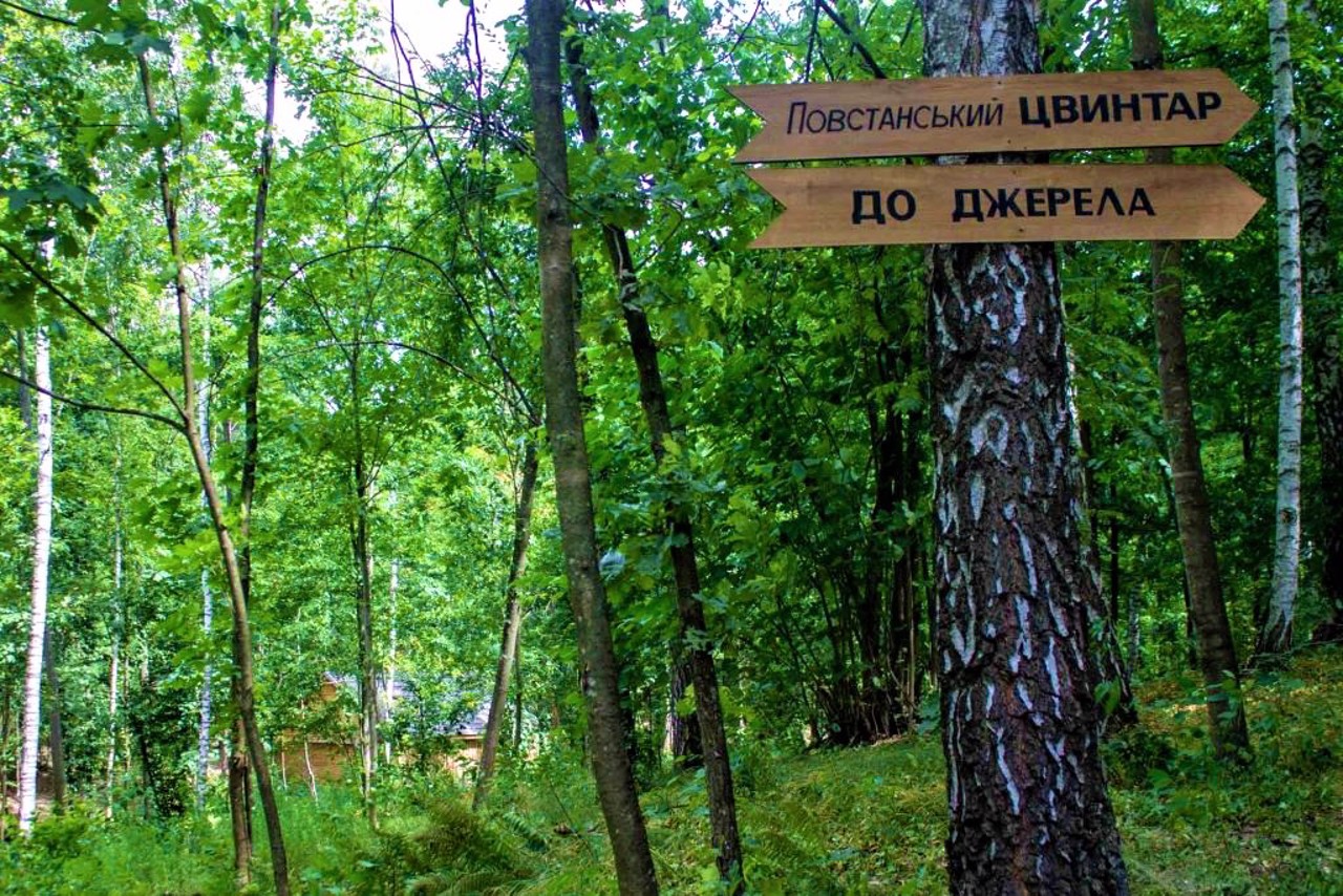 Село Антоновцы (урочище Гурбы)