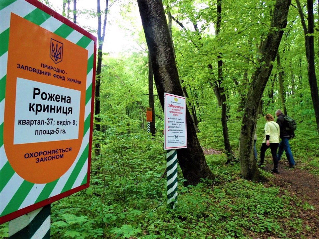 Село Бучак