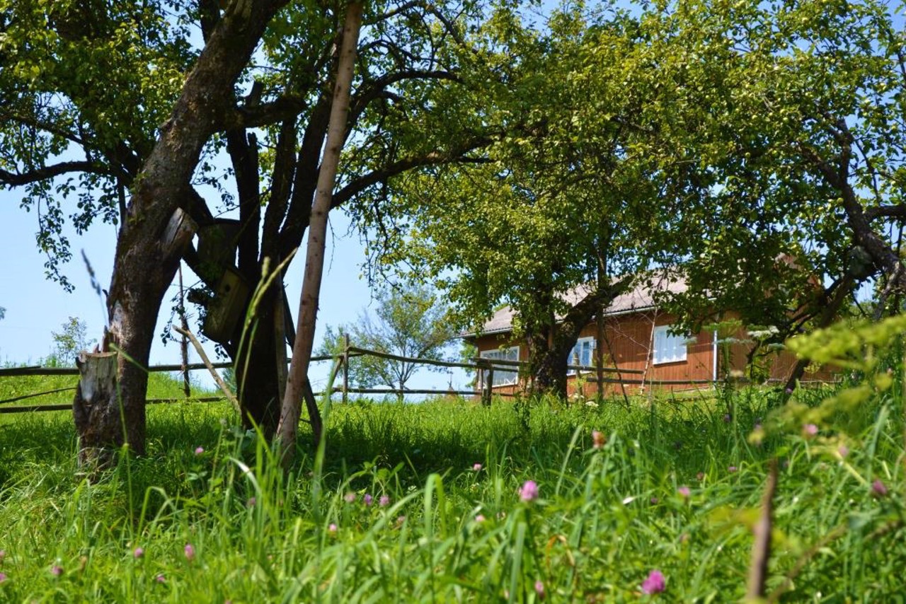Khashchovania village