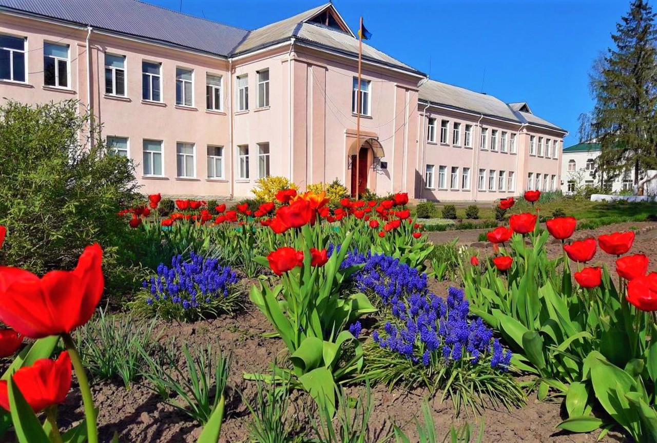 Город Городище