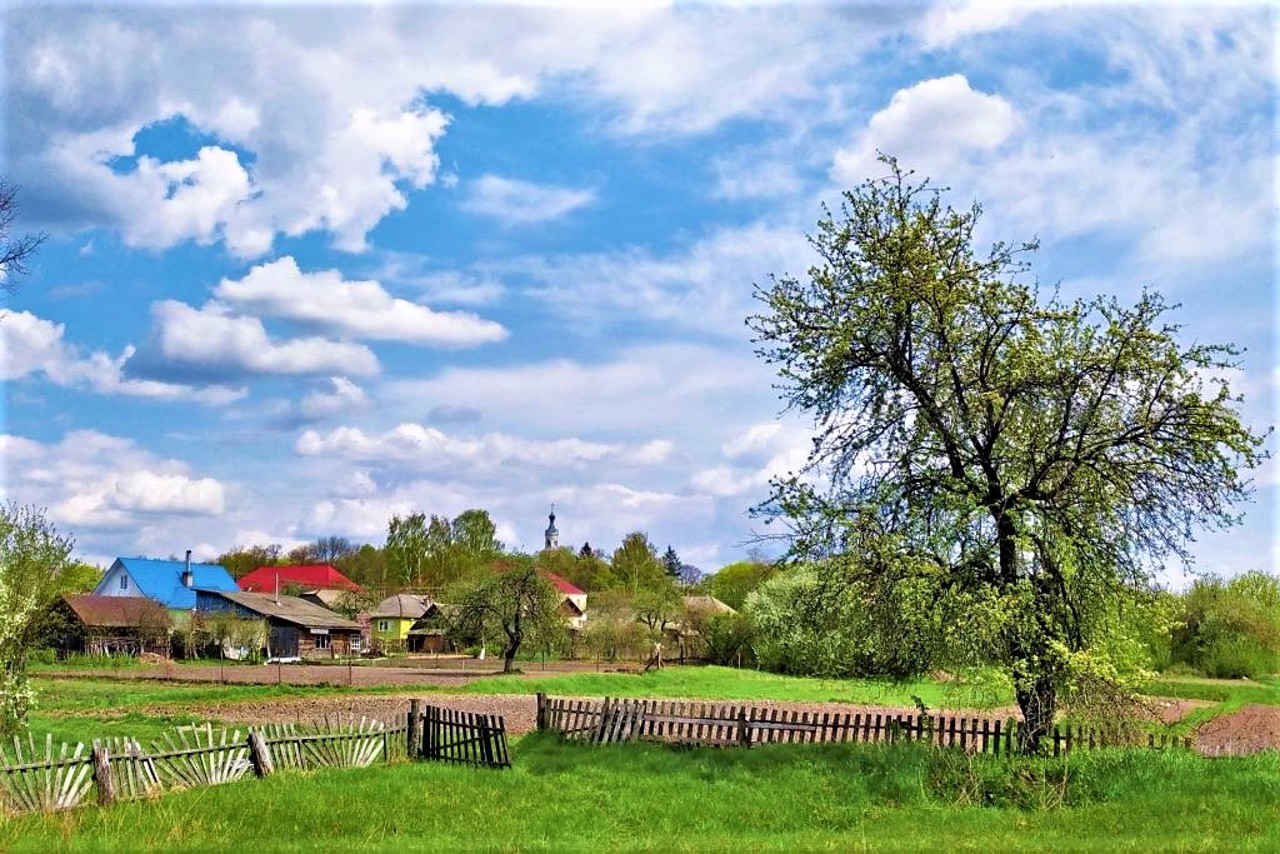 Город Семеновка