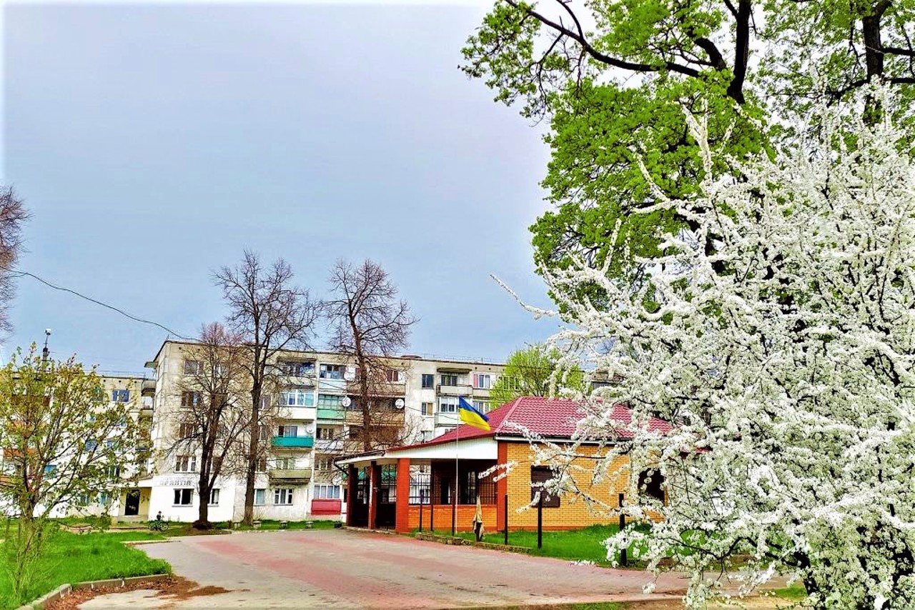 Город Семеновка