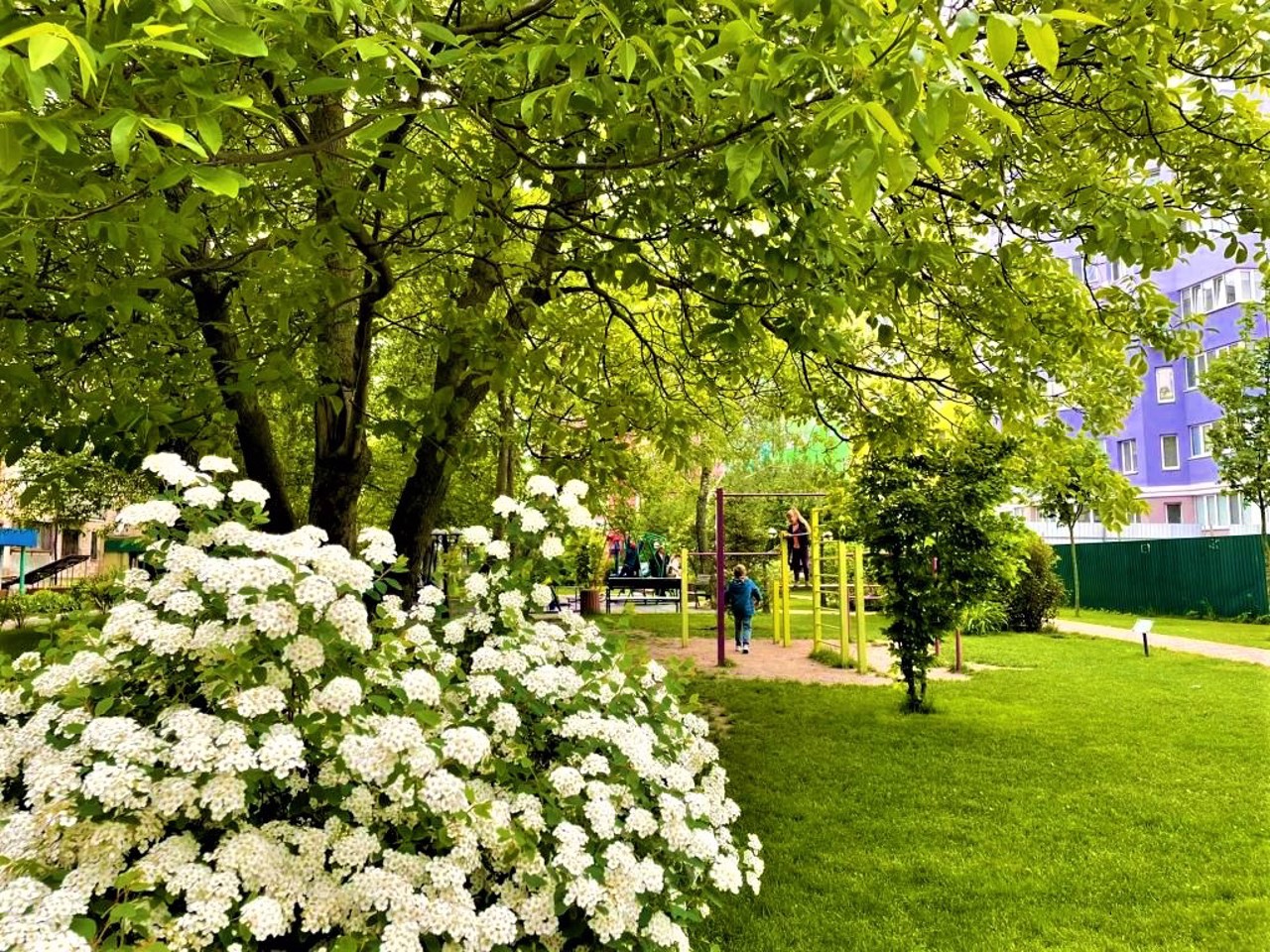 Sviatopetrivske village