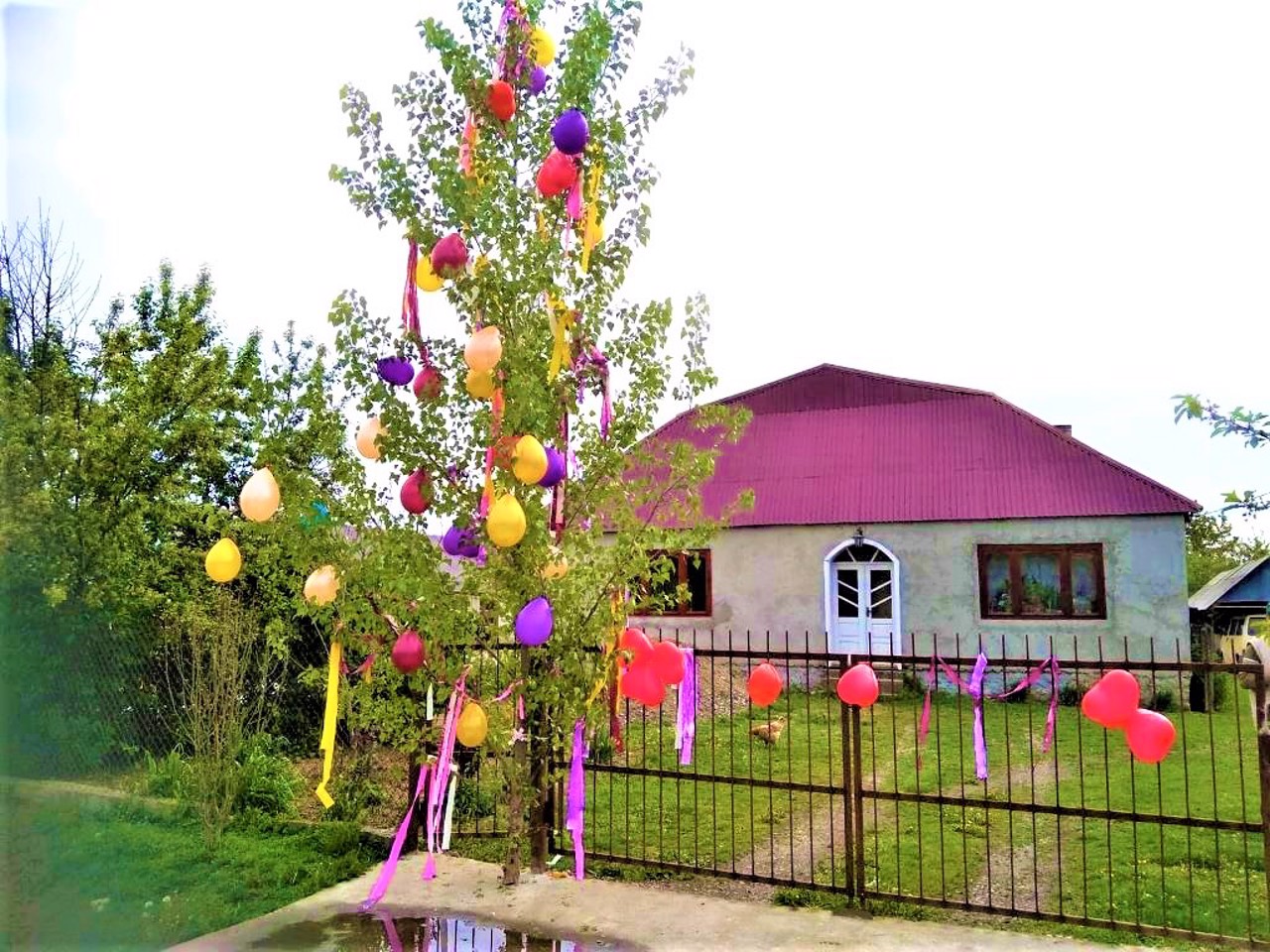Botar village