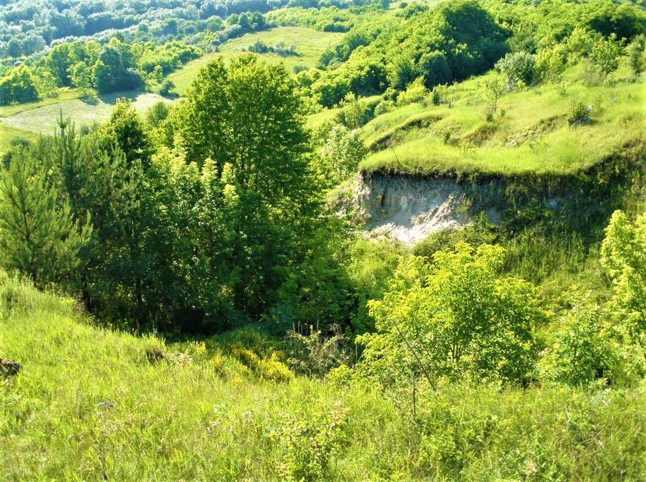 Село Гамарня, Хмельницька область