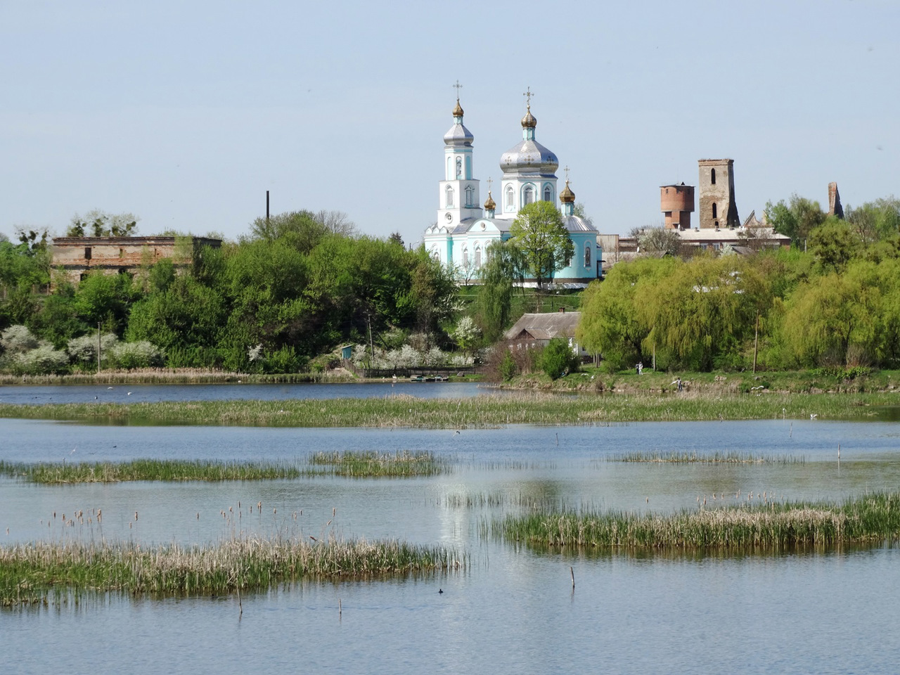 Shepetivka district 