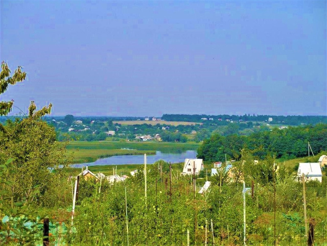 Село Оленівка, Фастівський район