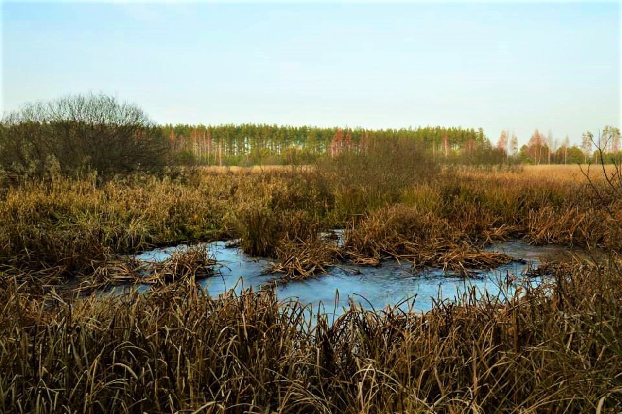 Село Отрохи