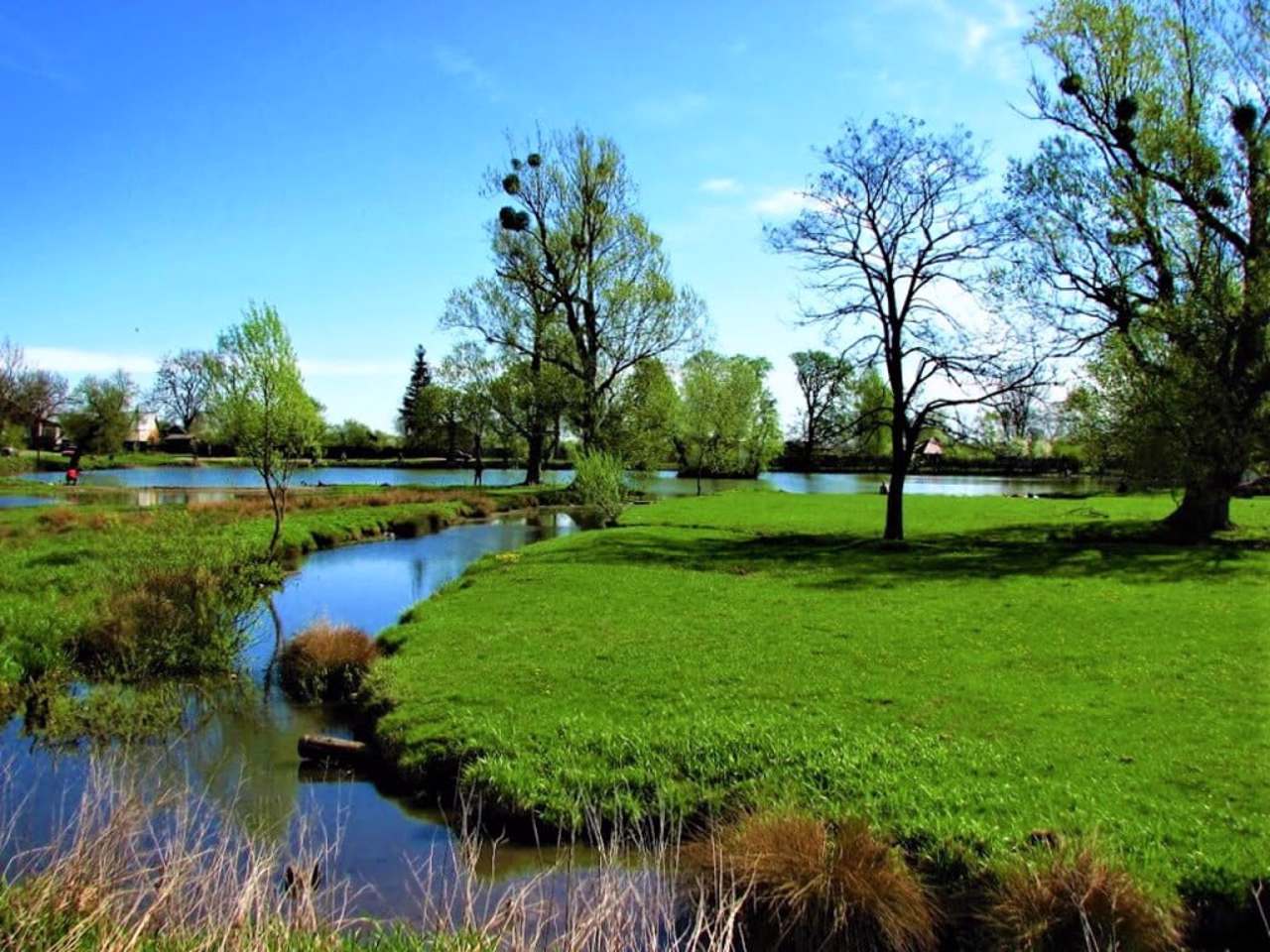 Село Журавники, Львовская область