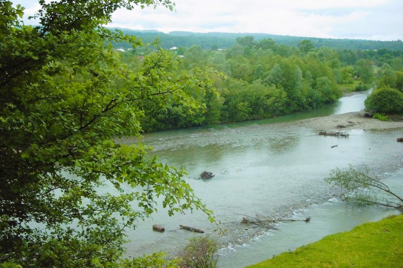 Село Никитинцы