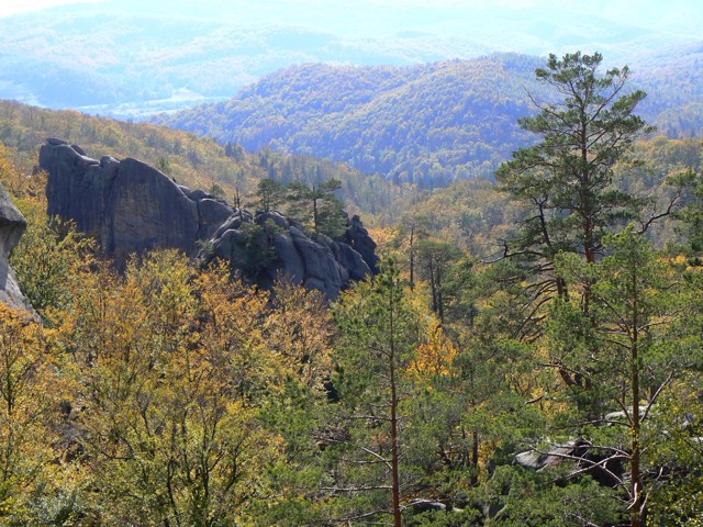 Kalush district