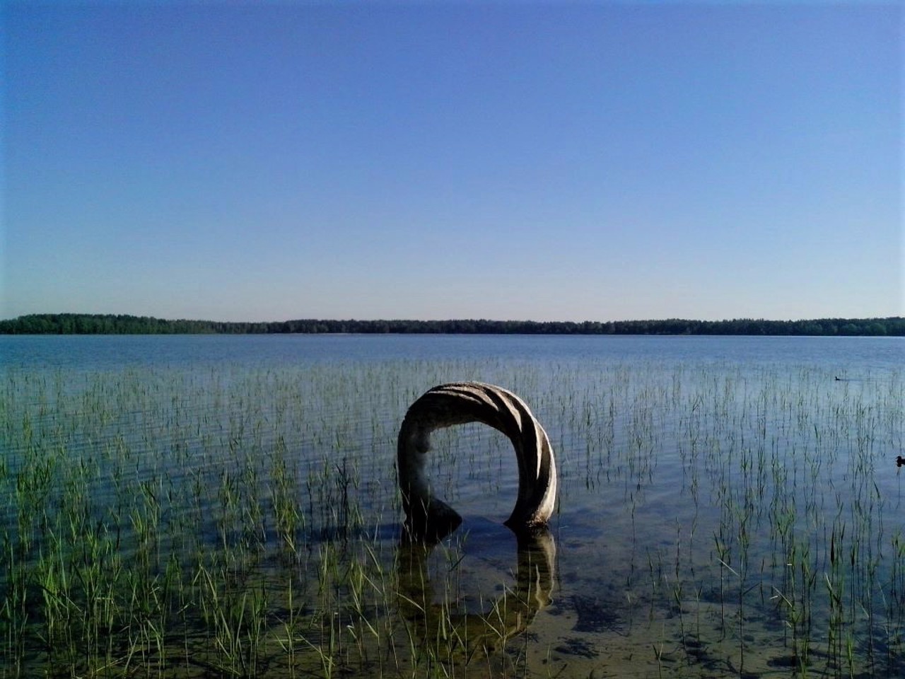 Село Гаевка