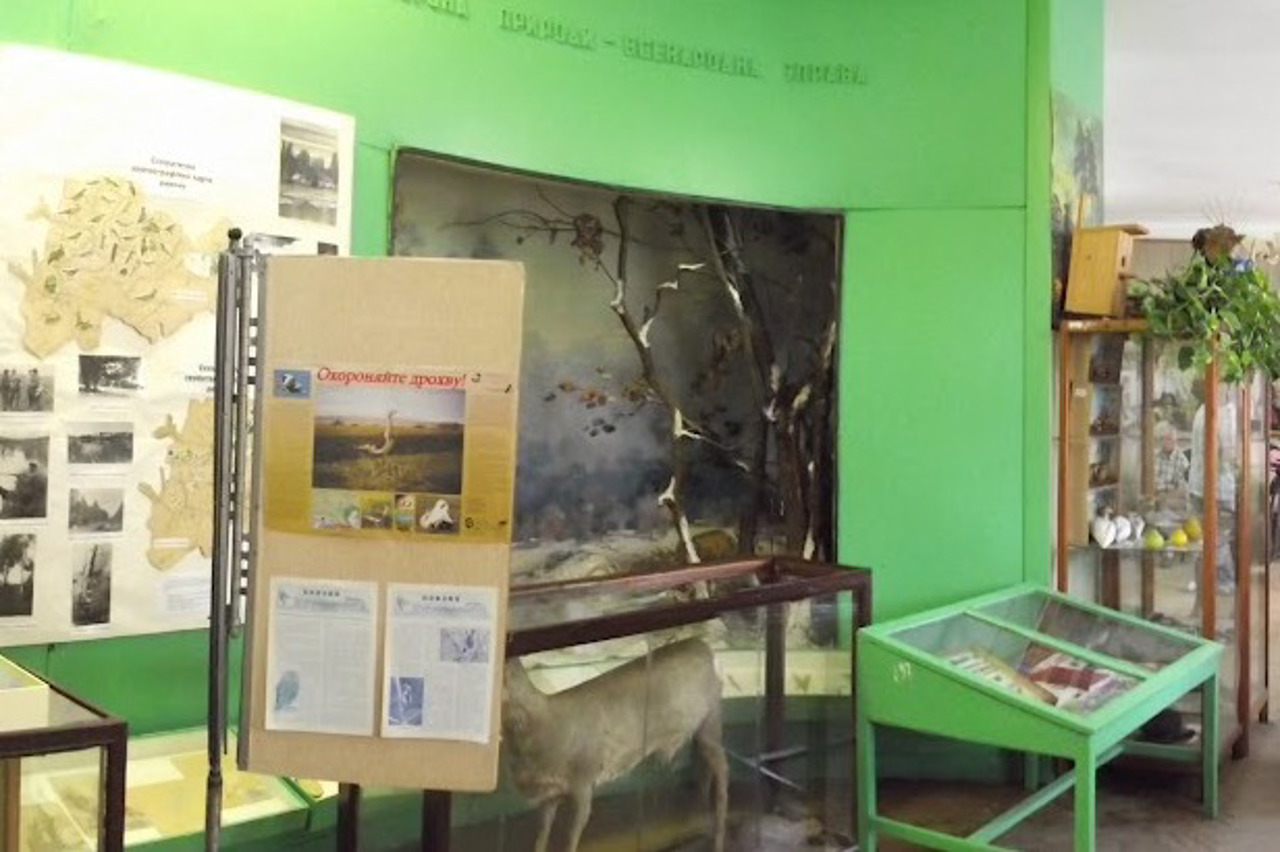 Александрийский городской музейный центр имени Антонины Худяковой, Александрия