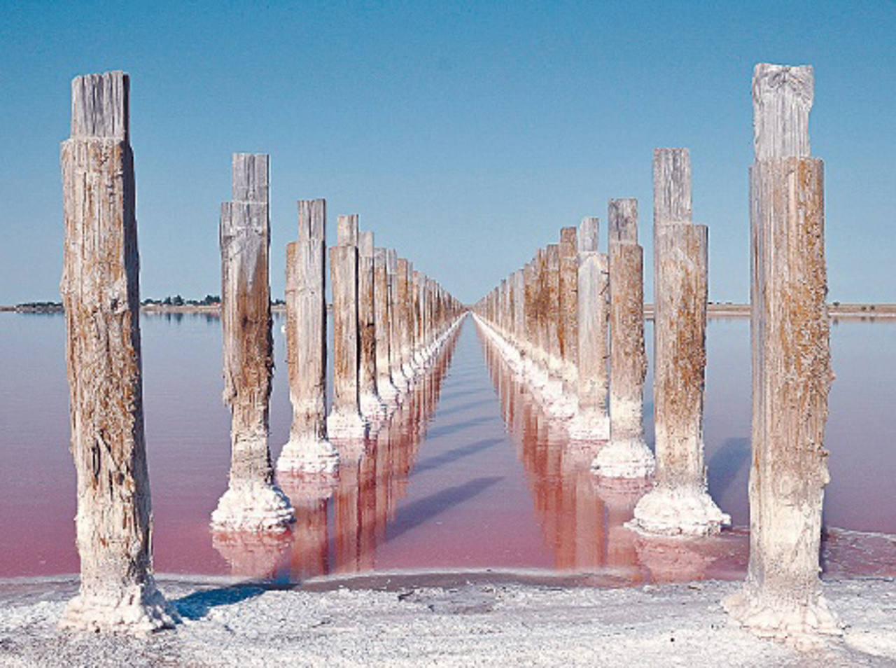 Лемурийское озеро (Розовое озеро), Григоровка