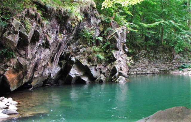 Блакитна лагуна, Чорноголова