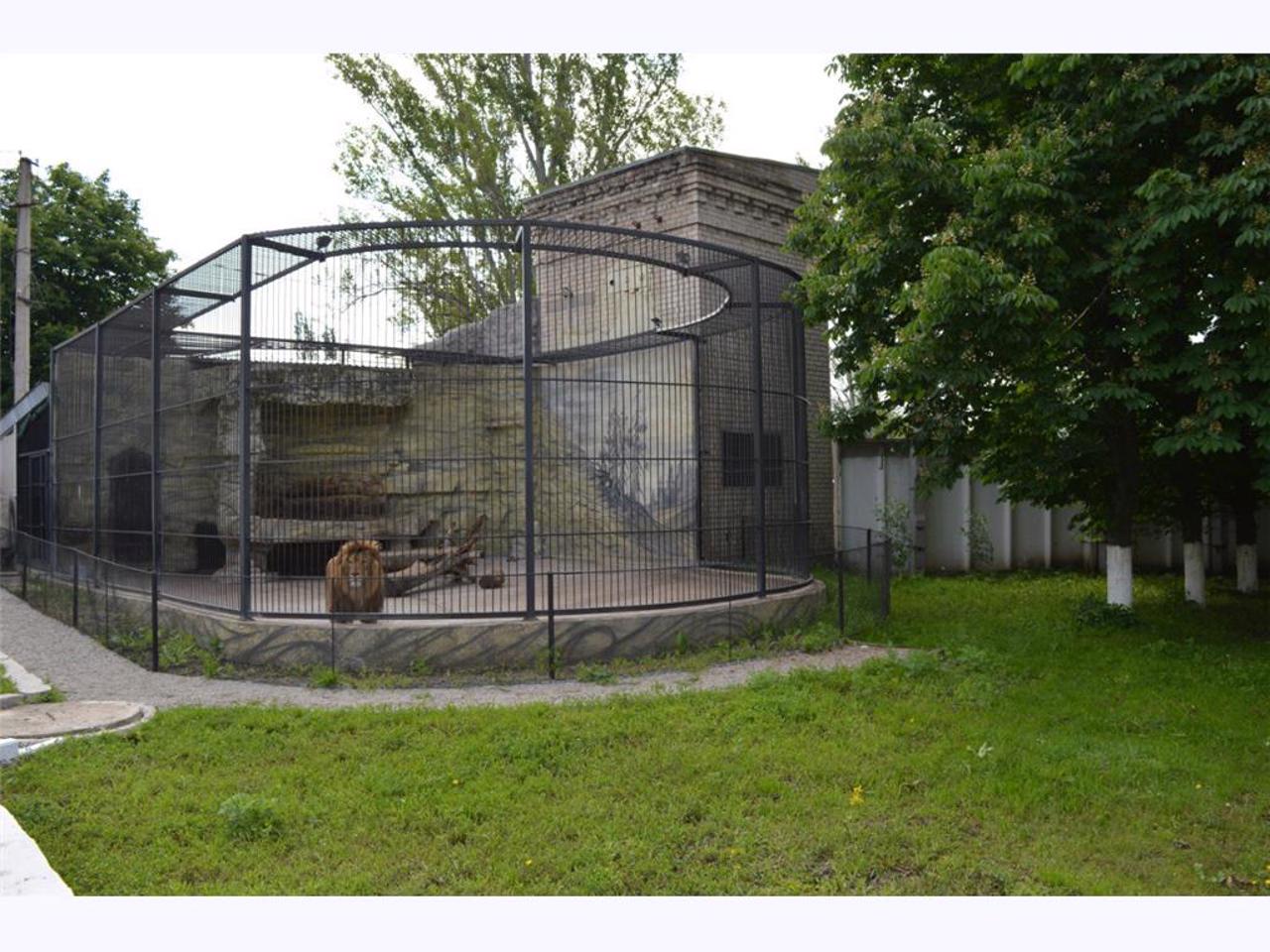 Simba Zoo, Zaporizhzhia