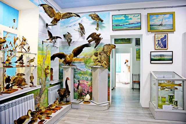 Генический краеведческий музей, Геническ