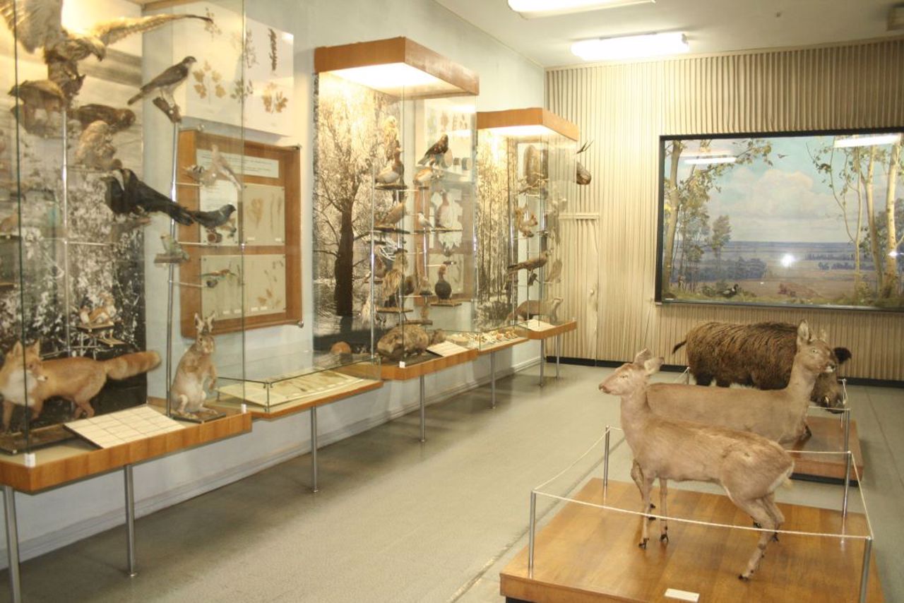 Kremenchuk Local Lore Museum