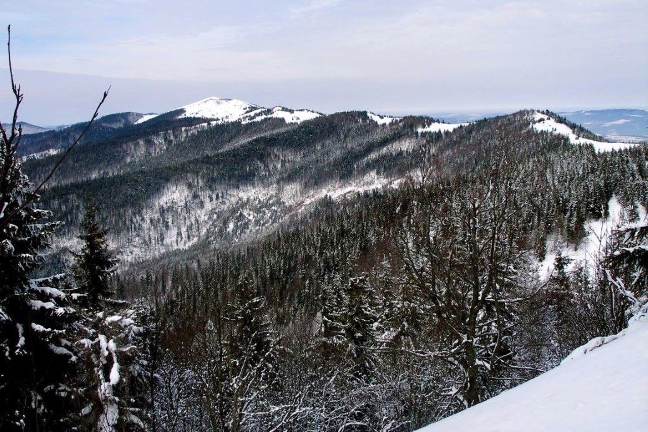 Skolivski Beskydy National Nature Park, Skole