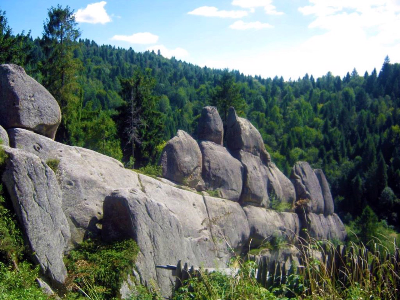 Skolivski Beskydy National Nature Park, Skole