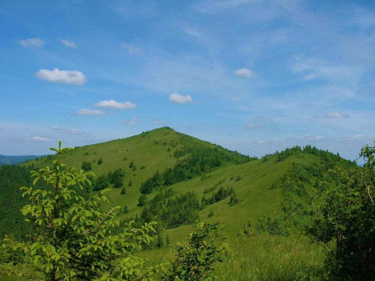 Skolivski Beskydy National Nature Park, Skole