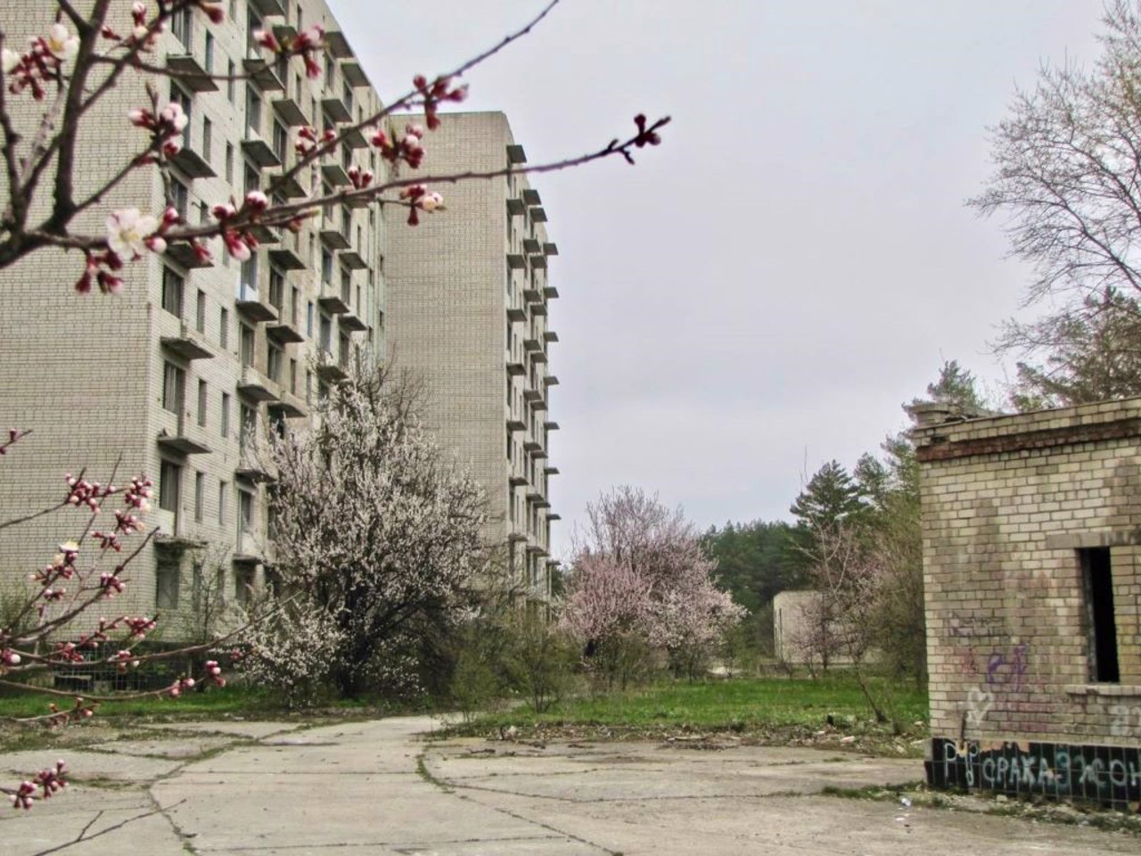 Город-призрак Орбита, Чигирин