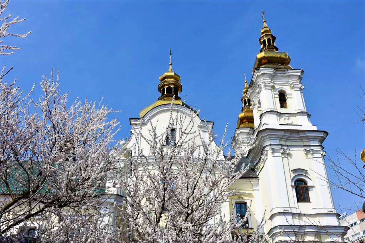 Спасо-Преображенський собор, Вінниця