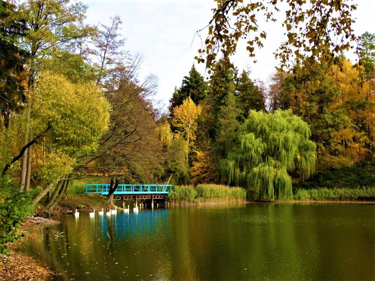 Тростянецкий дендропарк, Тростянец