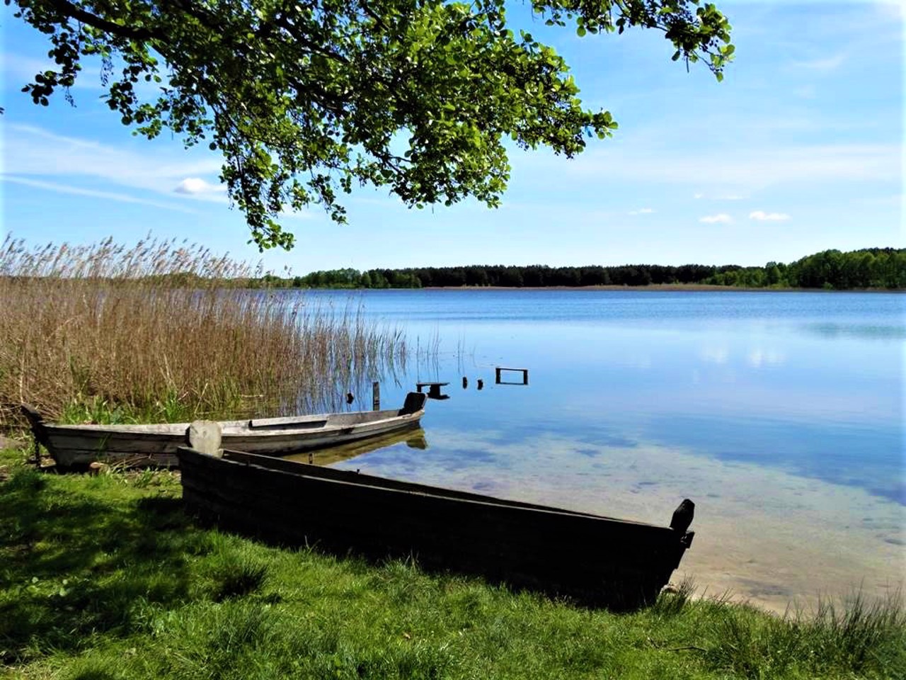 Lake Svitiaz
