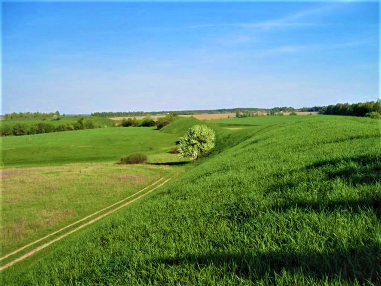Немировское городище (Скифские валы), Немиров