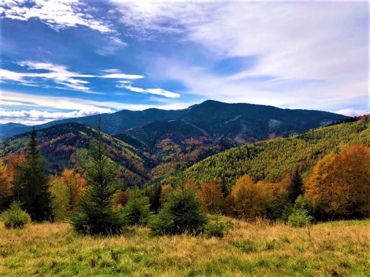 National Natural Park "Synohora", Stara Huta
