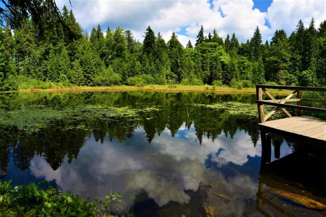 Озеро Озірце (Дике озеро), Синевир