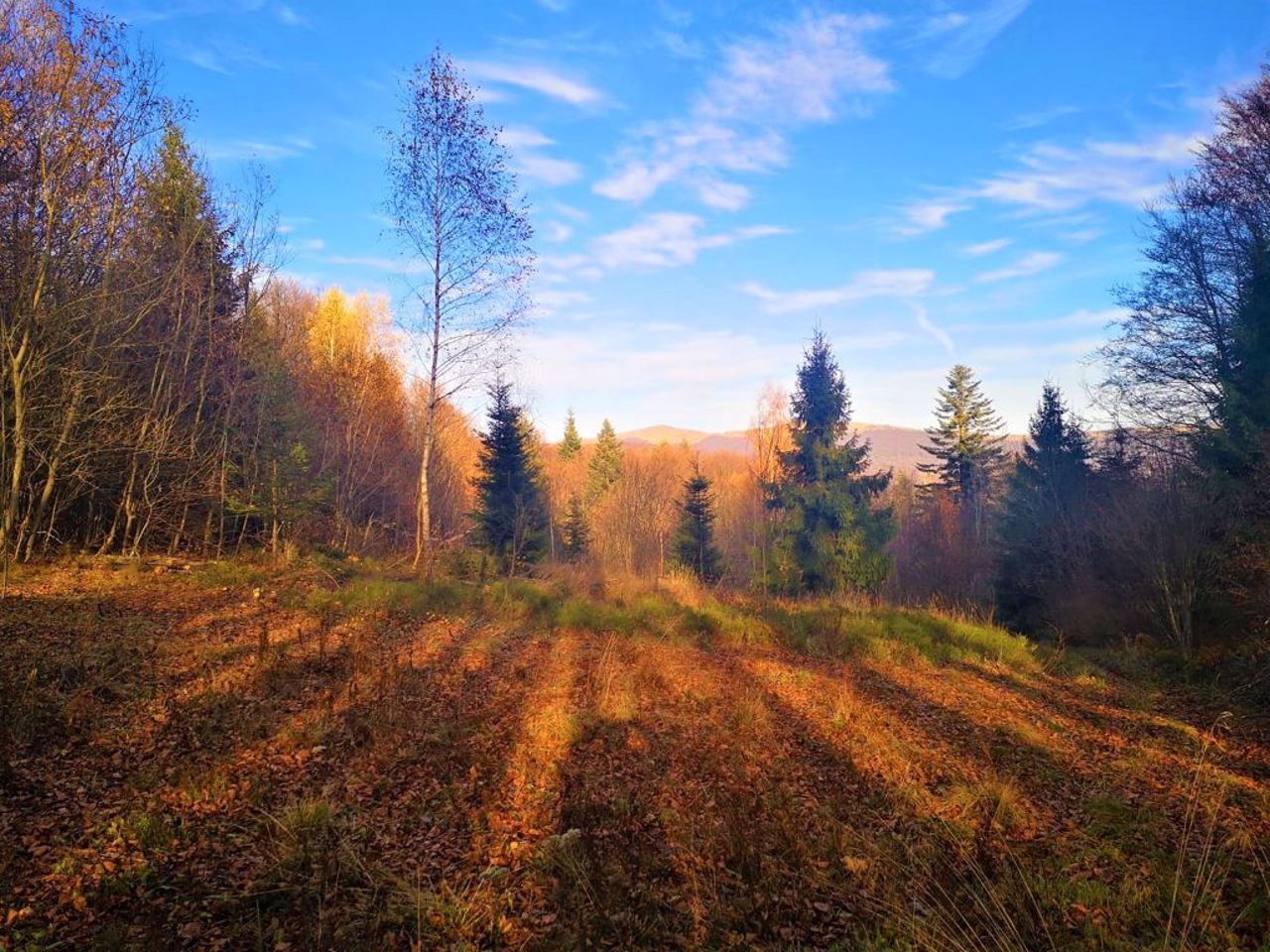 Ужанський національний природний парк