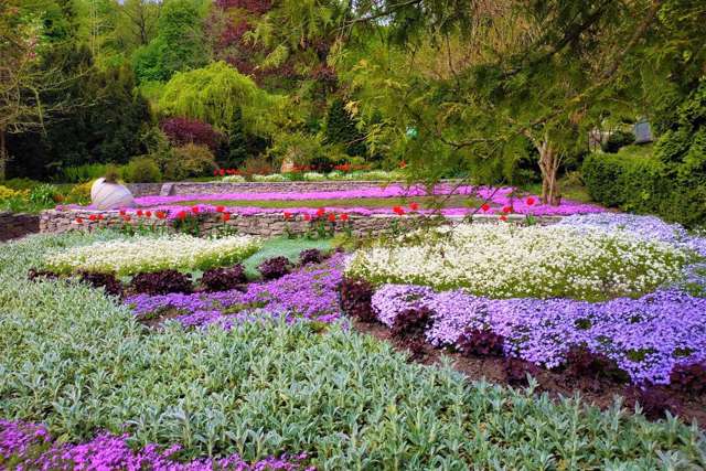 Кременецький ботанічний сад, Кременець
