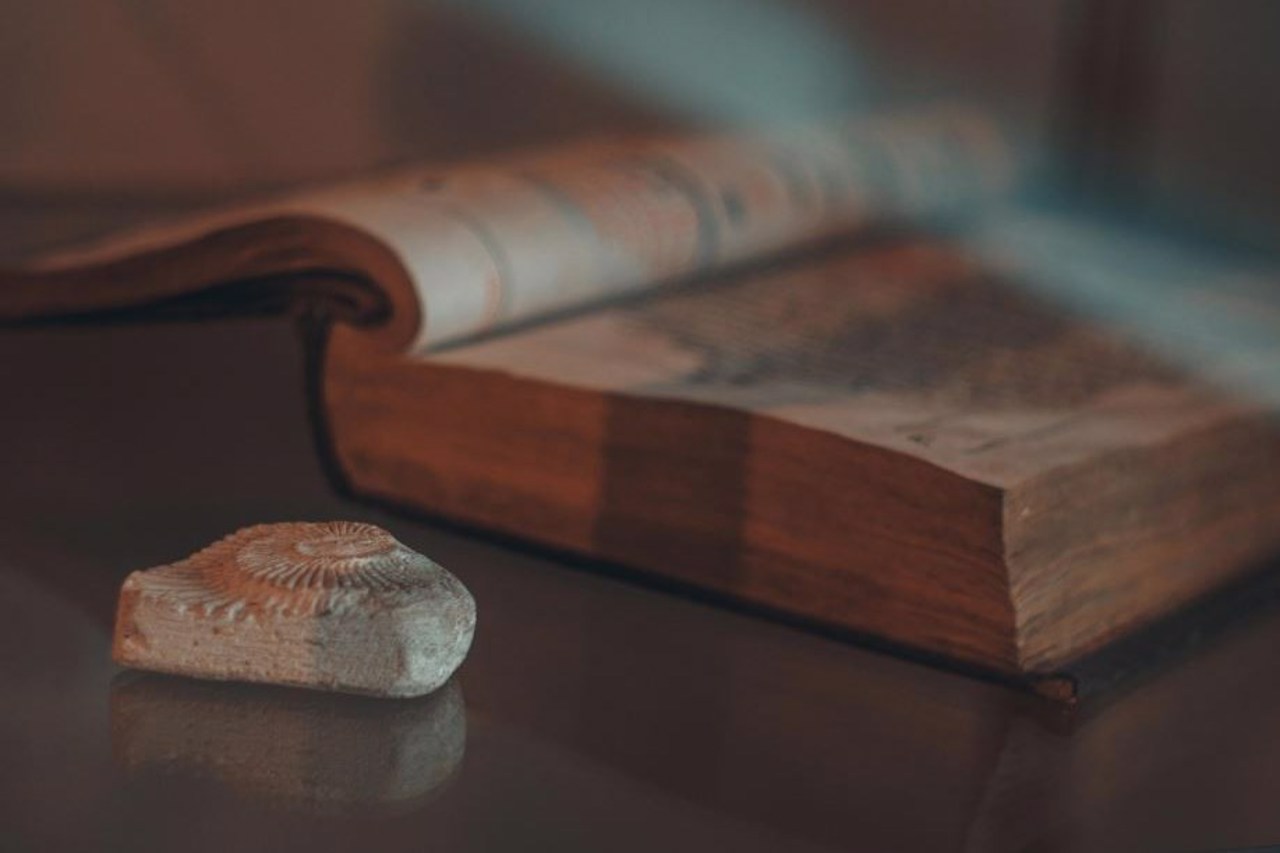 Краеведческий музей Калущины, Калуш