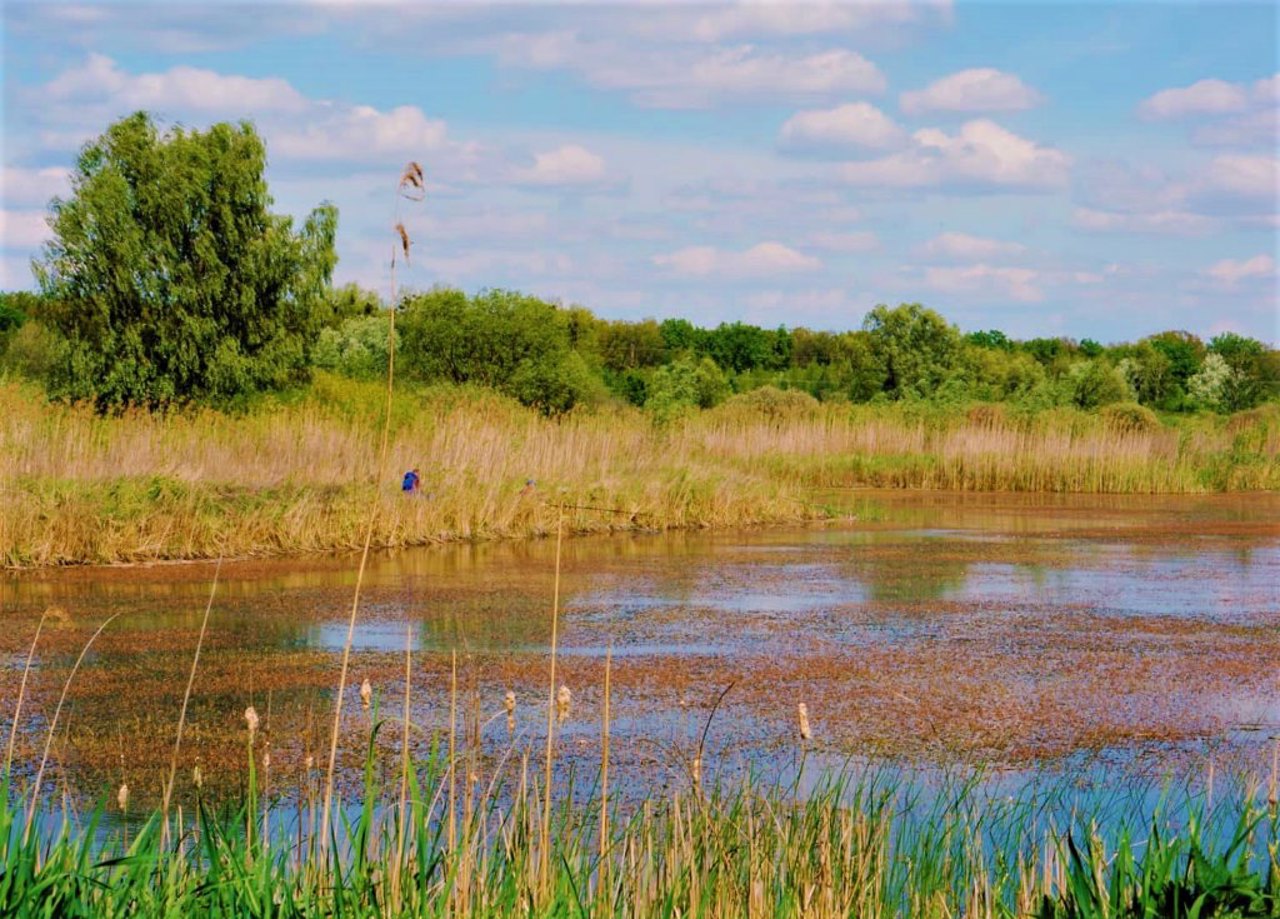 Farm "Kyilivska Askania", Kyiliv