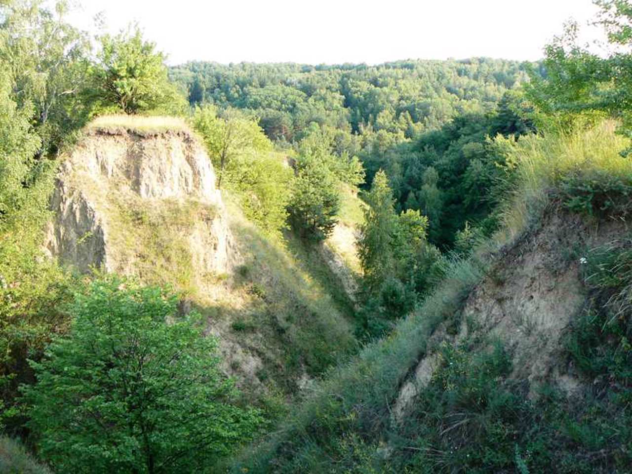 Заповедник "Трахтемиров", Трахтемиров