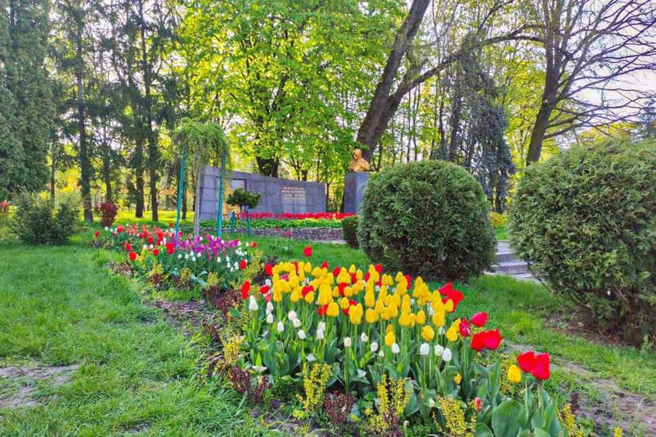 Парк культури та відпочинку імені Тараса Шевченка, Рівне