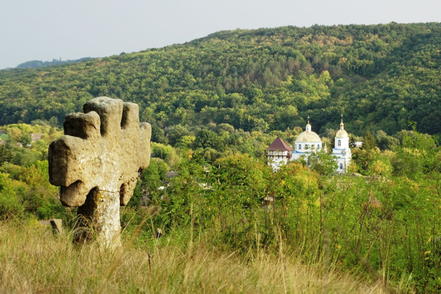 Державний історико-культурний заповідник "Буша"